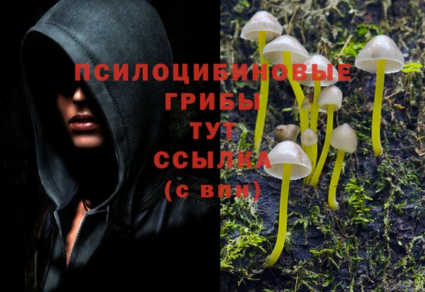 дурь Баксан